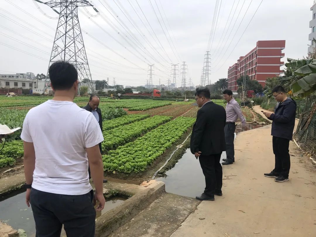 助力村落振兴，优德88一向在致力！