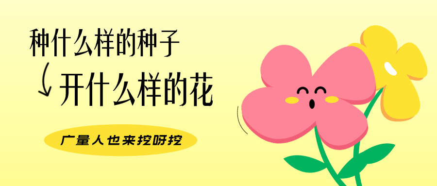 量圈儿NO.104丨优德88人的幼幼花圃，挖到宝了！