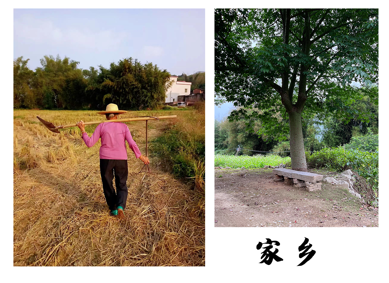1656291485499887 家乡图.png